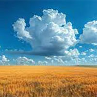 Giáo án PowerPoint Công nghệ 7 Bài 4: Thu hoạch sản phẩm trồng trọt