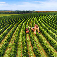 Giáo án PowerPoint Công nghệ 7 Bài 6: Dự án trồng rau an toàn