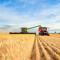 Giáo án PowerPoint Công nghệ 7 Bài 7: Giới thiệu về rừng