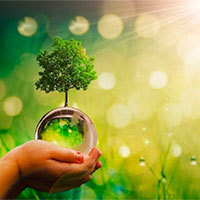 Giáo án PowerPoint Công nghệ 7: Ôn tập chương 1