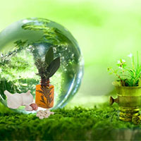 Giáo án PowerPoint Công nghệ 7: Ôn tập chương 2