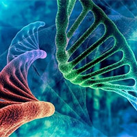 Đề thi thử THPT Quốc gia năm 2025 môn Sinh học sở GD&ĐT Bắc Giang