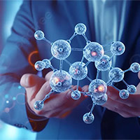 Đề thi thử THPT Quốc gia năm 2025 môn Sinh học sở GD&ĐT Bình Phước