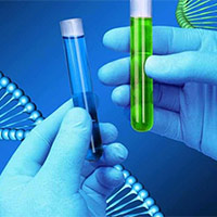 Đề thi thử THPT Quốc gia năm 2025 môn Sinh học sở GD&ĐT Ninh Bình