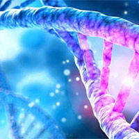 Đề thi thử THPT Quốc gia năm 2025 môn Sinh học sở GD&ĐT Quảng Bình