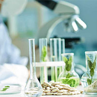 Đề thi thử THPT Quốc gia năm 2025 môn Sinh học Cụm trường THPT Bắc Ninh