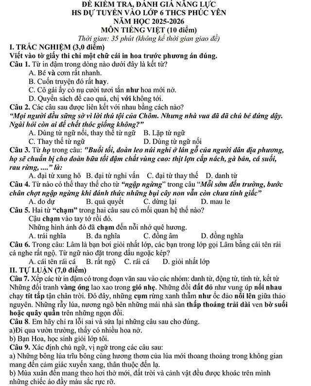 Đề thi vào lớp 6 môn Tiếng Việt trường THCS Phúc Yên