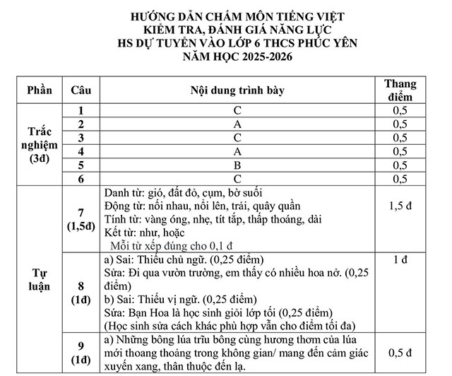 Đề thi vào lớp 6 môn Tiếng Việt trường THCS Phúc Yên