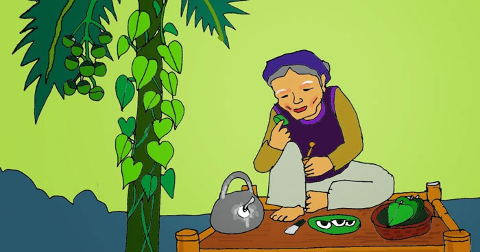Bài thơ Hái trầu cho bà