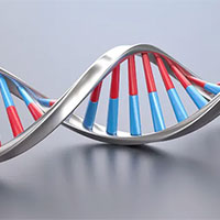 Giáo án PowerPoint Sinh học 12 Bài 1: DNA và cơ chế tái bản DNA