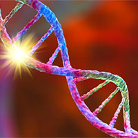 Giáo án PowerPoint Sinh học 12 Bài 12: Đột biến nhiễm sắc thể