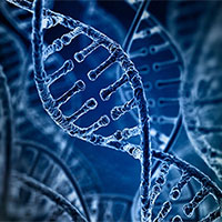 Giáo án PowerPoint Sinh học 12 Bài 14: Thực hành Quan sát một số dạng đột biến nhiễm sắc thể