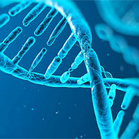 Giáo án PowerPoint Sinh học 12 Bài 15: Di truyền gene ngoài nhân