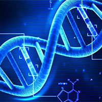 Giáo án PowerPoint Sinh học 12 Bài 2: Gene quá trình truyền đạt thông tin di truyền và hệ gene