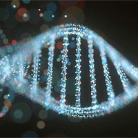 Giáo án PowerPoint Sinh học 12 Bài 3: Điều hoà biểu hiện gene