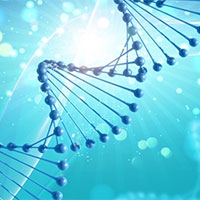 Giáo án PowerPoint Sinh học 12 Bài 4: Đột biến gene