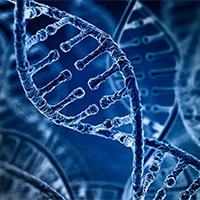 Giáo án PowerPoint Sinh học 12 Bài 6: Thực hành Tách chiết DNA