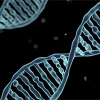 Giáo án PowerPoint Sinh học 12 Bài 7: Cấu trúc và chức năng của nhiễm sắc thể