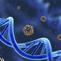 Giáo án PowerPoint Sinh học 12 Bài 17: Thực hành Thí nghiệm về thường biến ở cây trồng