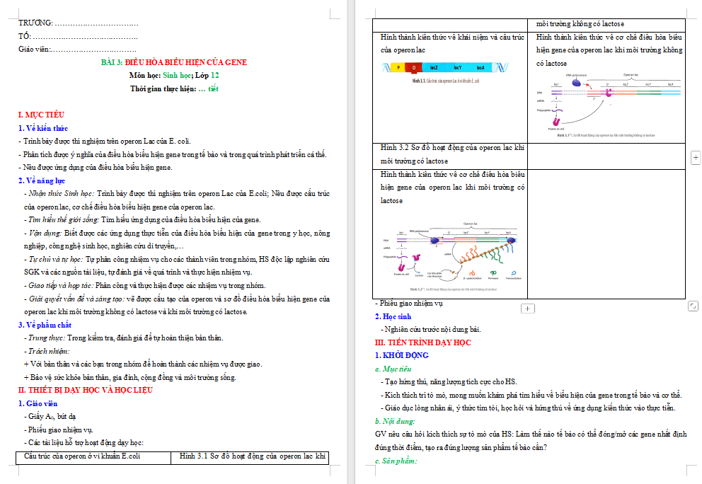 Điều hoà biểu hiện gene