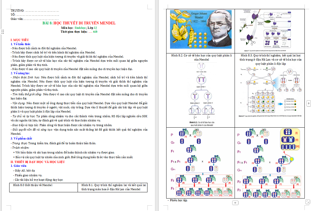 Học thuyết di truyền của Mendel