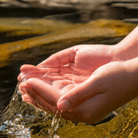 Dẫn chứng câu tục ngữ Ăn quả nhớ kẻ trồng cây (3 mẫu) 