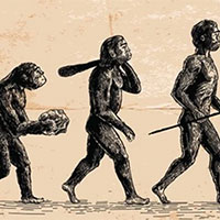 Giáo án PowerPoint Sinh học 12 Bài 18: Di truyền quần thể