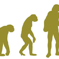 Giáo án PowerPoint Sinh học 12 Bài 19: Các bằng chứng tiến hoá