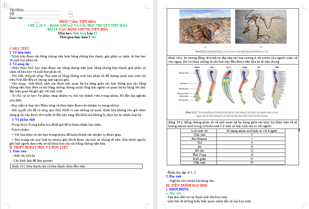 Các bằng chứng tiến hoá