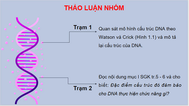 Bai 1 Sinh hoc 12 6*656566