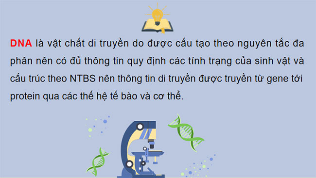 Giáo án PowerPoint Sinh học 12 KNTT