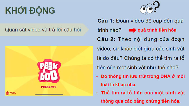Giáo án PowerPoint Sinh học 12 Kết nối tri thức 