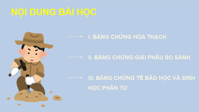 Giáo án PowerPoint Sinh học 12 Kết nối tri thức 