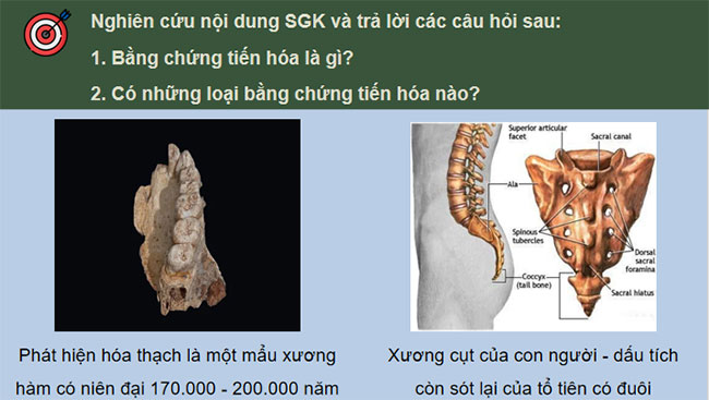 Giáo án PowerPoint Sinh học 12 Kết nối tri thức 