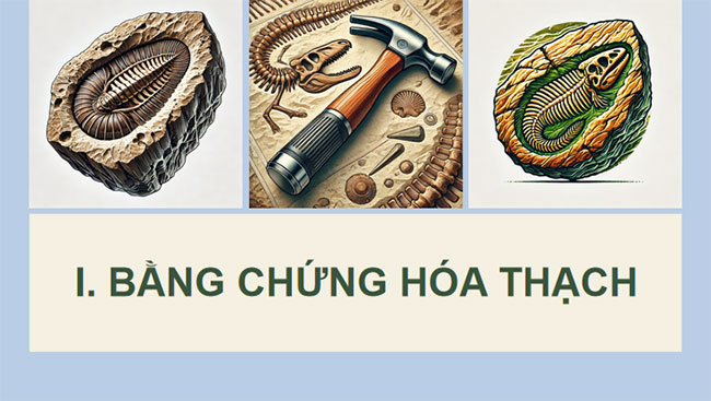 Giáo án PowerPoint Sinh học 12 Kết nối tri thức 