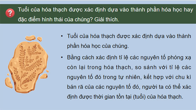 Giáo án PowerPoint Sinh học 12 Kết nối tri thức 