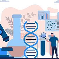 Bài giảng điện tử môn Sinh học 12 sách Kết nối tri thức với cuộc sống (Cả năm)