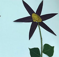 Giáo án mầm non: Vẽ lá cây