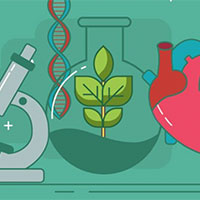 Đề thi thử THPT Quốc gia năm 2025 môn Sinh học sở GD&ĐT Bình Dương