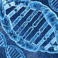 Đề thi thử THPT Quốc gia năm 2025 môn Sinh học trường THPT Đặng Trần Côn, Huế