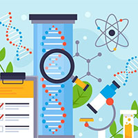 Đề thi thử THPT Quốc gia năm 2025 môn Sinh học trường THPT Gia Hội, Huế