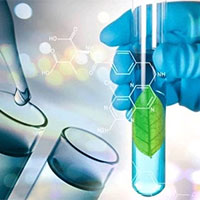 Đề thi thử THPT Quốc gia năm 2025 môn Sinh học trường THPT Trường Xuân 2, Thanh Hóa