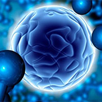 Đề thi thử THPT Quốc gia năm 2025 môn Sinh học trường THPT Vinh Xuân, Huế