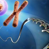 Đề thi thử THPT Quốc gia năm 2025 môn Sinh học trường THPT Nguyễn Huệ, Huế