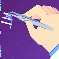 Đề thi thử THPT Quốc gia năm 2025 môn Sinh học trường THPT Tố Hữu, Huế