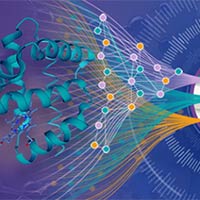 Đề thi thử THPT Quốc gia năm 2025 môn Sinh học trường THPT Chuyên Nguyễn Du, Đắk Lắk