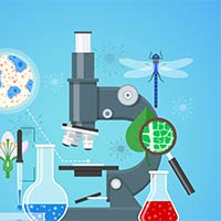 Đề thi thử THPT Quốc gia năm 2025 môn Sinh học trường THPT Chuyên Đại học Vinh, Nghệ An