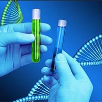 Đề thi thử THPT Quốc gia năm 2025 môn Sinh học Sở GD&ĐT Hà Nam