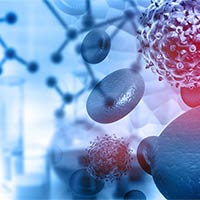 Đề thi thử THPT Quốc gia năm 2025 môn Sinh học sở GD&ĐT Tiền Giang