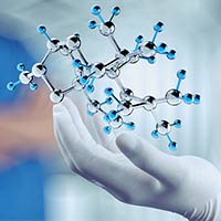 Đề thi thử THPT Quốc gia năm 2025 môn Sinh học Sở GD&ĐT Vĩnh Phúc